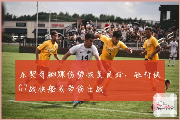 东契奇脚踝伤势恢复良好，独行侠G7战快船或带伤出战