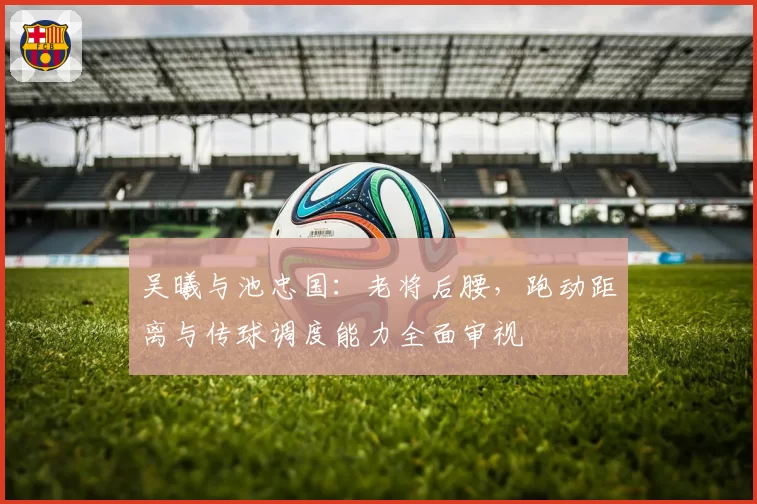 吴曦与池忠国:老将后腰,跑动距离与传球调度能力全面审视