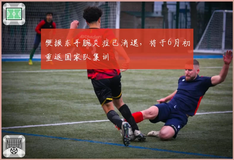 樊振东手腕炎症已消退，将于6月初重返国家队集训