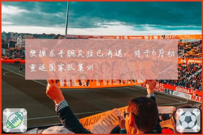 樊振东手腕炎症已消退，将于6月初重返国家队集训